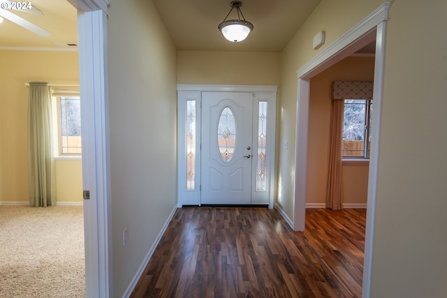 entrance foyer with ornamental molding, dark hardwood / wood-style flooring, and a healthy amount of sunlight