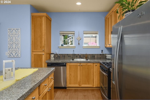 kitchen featuring sink, light hardwood / wood-style floors, and appliances with stainless steel finishes