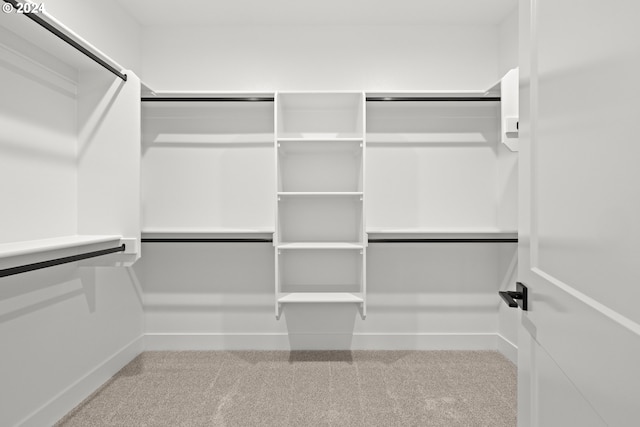 walk in closet featuring carpet floors