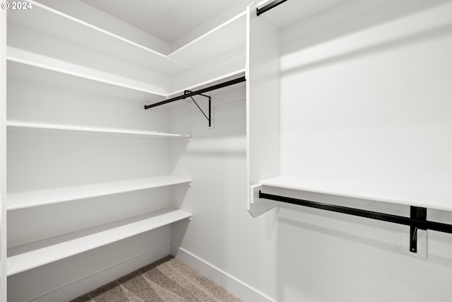 walk in closet featuring carpet flooring