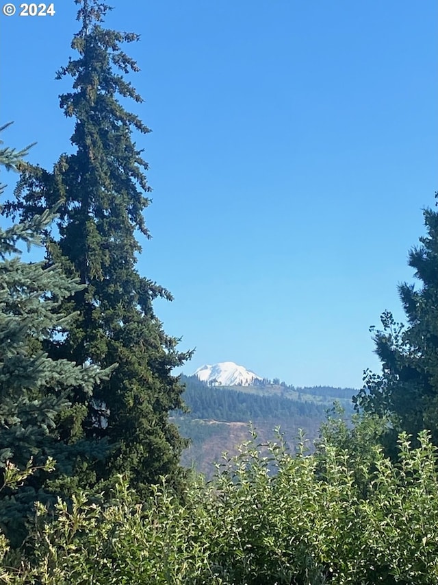 mountain view