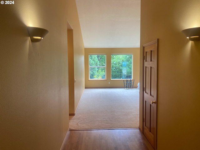 hall with baseboards, carpet floors, and wood finished floors