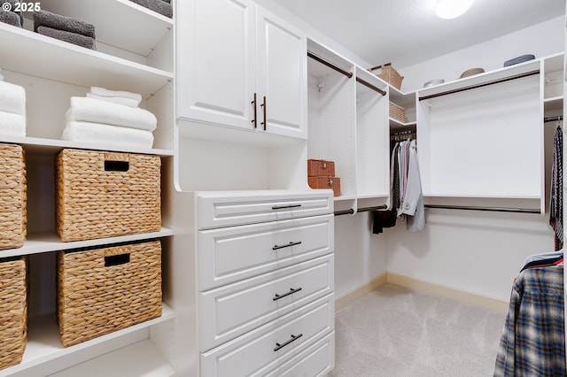 spacious closet with light carpet