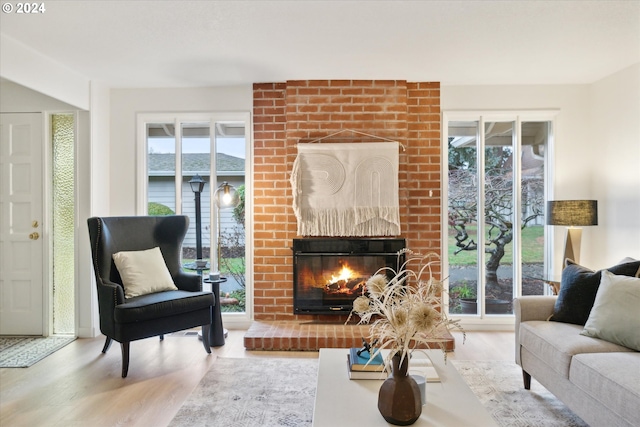 living room with wood-type flooring and a fireplace