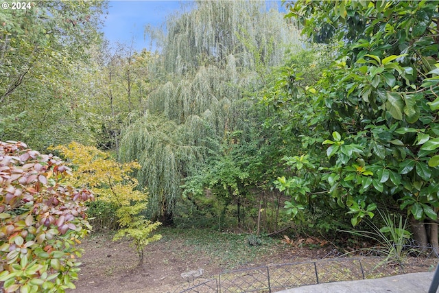 view of nature with a view of trees