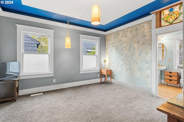 empty room featuring carpet flooring and crown molding