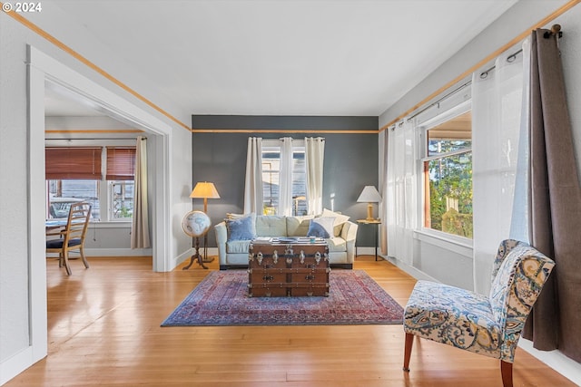 living area with light hardwood / wood-style floors