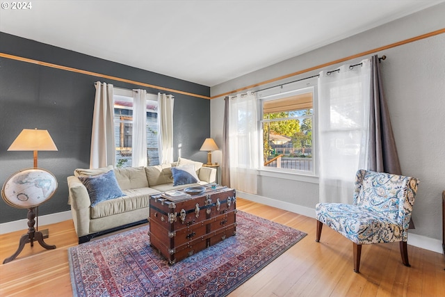 living room featuring hardwood / wood-style flooring