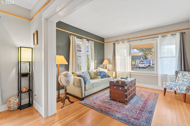 living room with hardwood / wood-style flooring