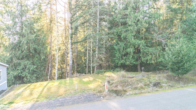 Listing photo 3 for Roseview Ct, Vernonia OR 97064