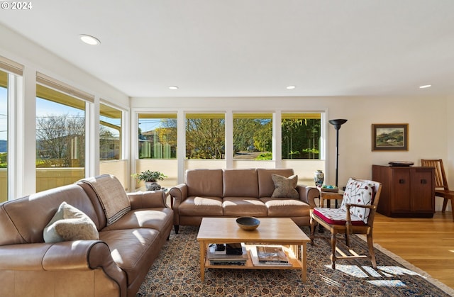 living room with hardwood / wood-style flooring