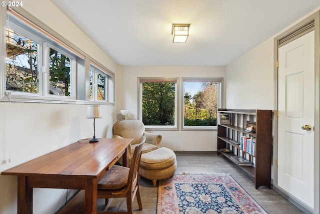 sitting room featuring wood-type flooring and plenty of natural light