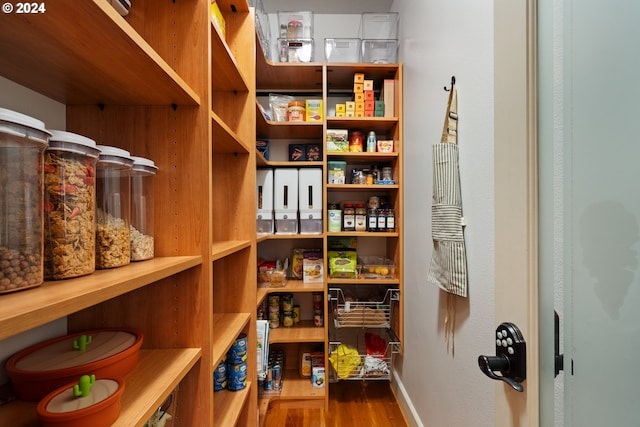 view of pantry