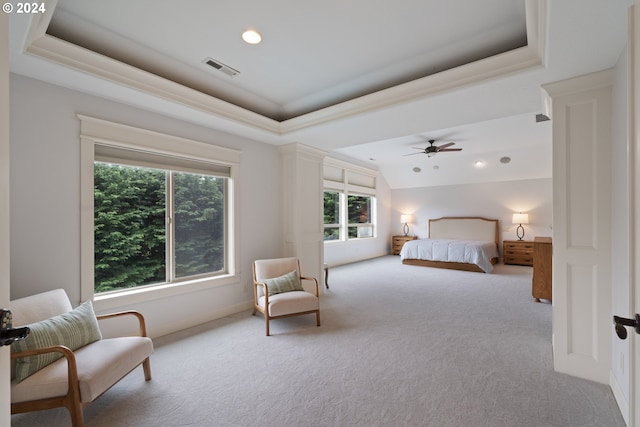 carpeted bedroom featuring a tray ceiling