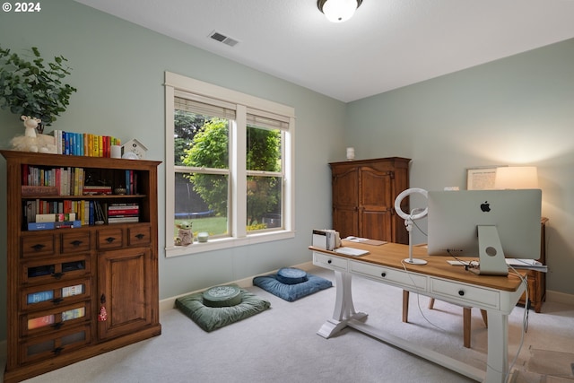 view of carpeted home office