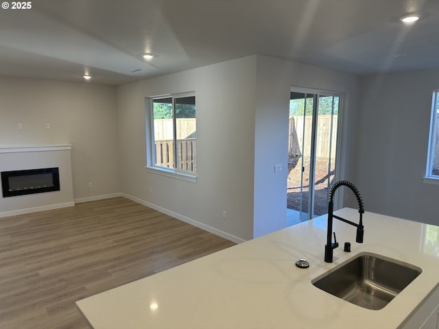 kitchen featuring hardwood / wood-style flooring and sink