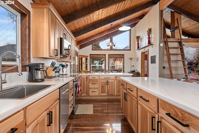 kitchen with stainless steel appliances, a wealth of natural light, dark wood-type flooring, and sink