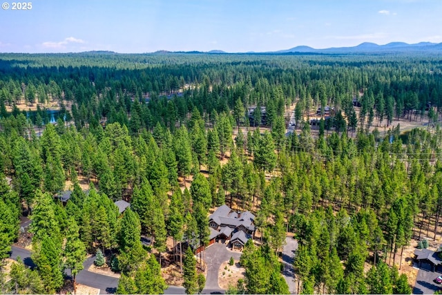 aerial view featuring a mountain view