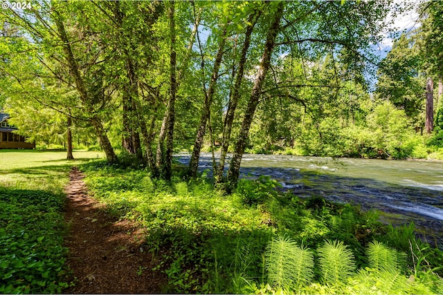 56483 Mckenzie Hwy Unit 20, Mckenzie Bridge, OR 97413 - view of yard