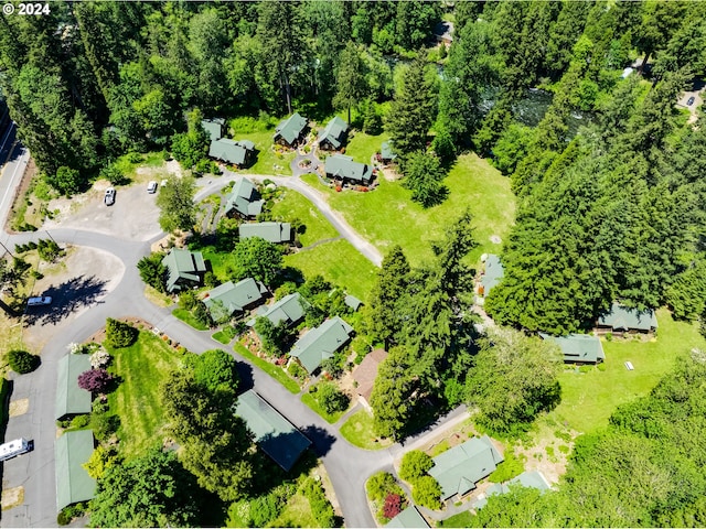56483 Mckenzie Hwy Unit 20, Mckenzie Bridge, OR 97413 - aerial view