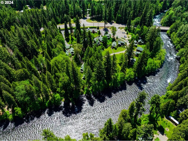 56483 Mckenzie Hwy Unit 20, Mckenzie Bridge, OR 97413 - aerial view of a large body of water