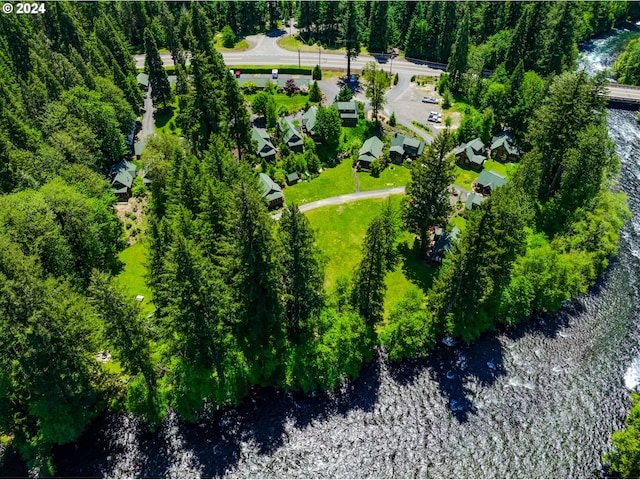 56483 Mckenzie Hwy Unit 20, Mckenzie Bridge, OR 97413 - bird's eye view