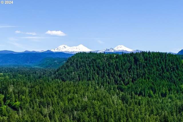 56483 Mckenzie Hwy Unit 20, Mckenzie Bridge, OR 97413 - view of mountain background featuring a heavily wooded area