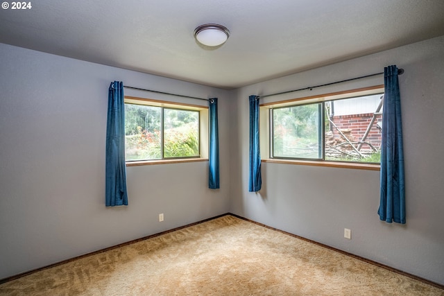 carpeted empty room with a wealth of natural light and baseboards