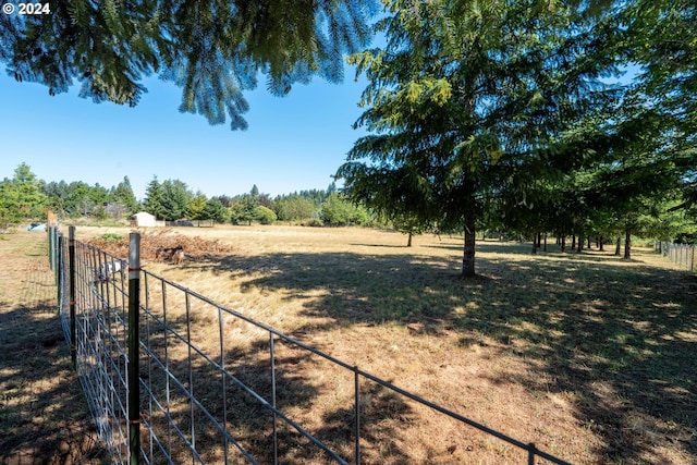 view of yard featuring a rural view