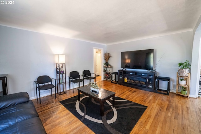 living room with hardwood / wood-style floors