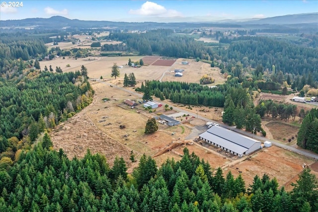 bird's eye view featuring a mountain view