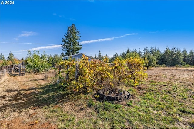 view of yard with a rural view