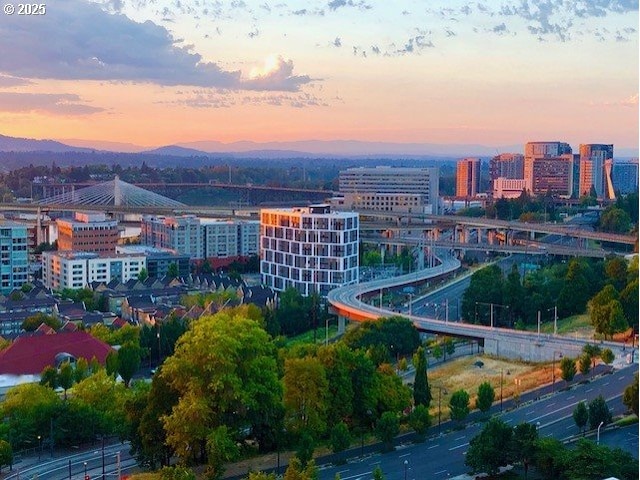 property's view of city