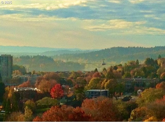 property view of mountains with a wooded view