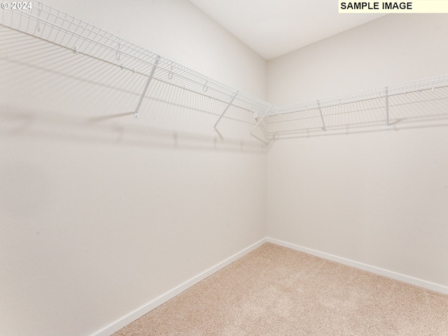 spacious closet with carpet