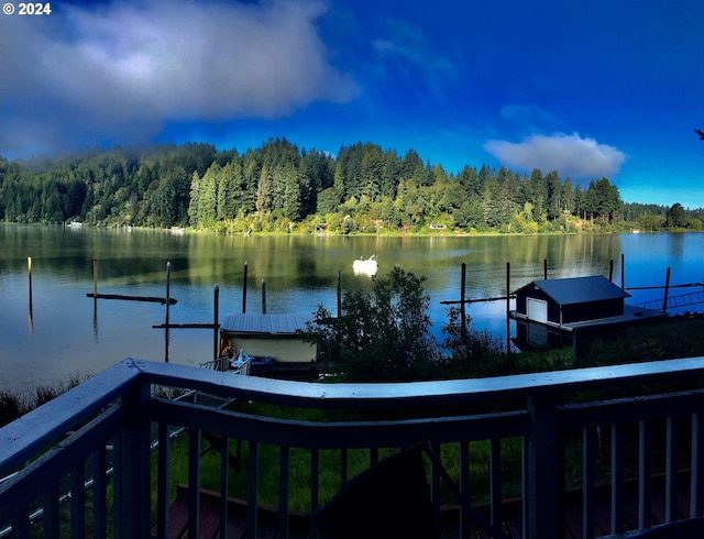 water view featuring a dock