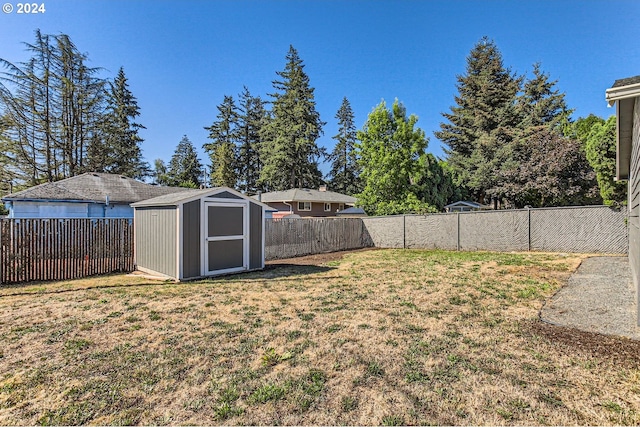 view of yard with a storage shed