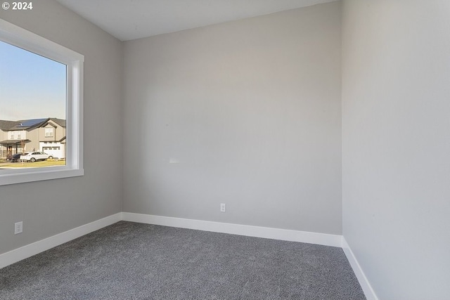 spare room with carpet flooring