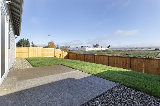 view of yard featuring a patio