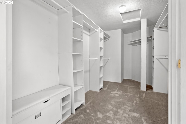 spacious closet featuring dark colored carpet