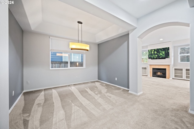 spare room featuring light carpet, a raised ceiling, and a healthy amount of sunlight