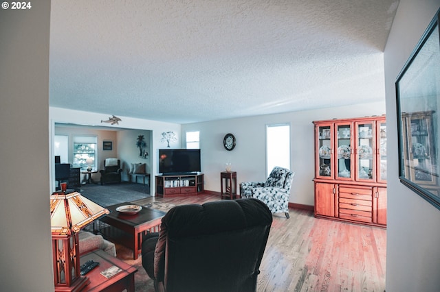 living room with light hardwood / wood-style floors, a healthy amount of sunlight, and a textured ceiling