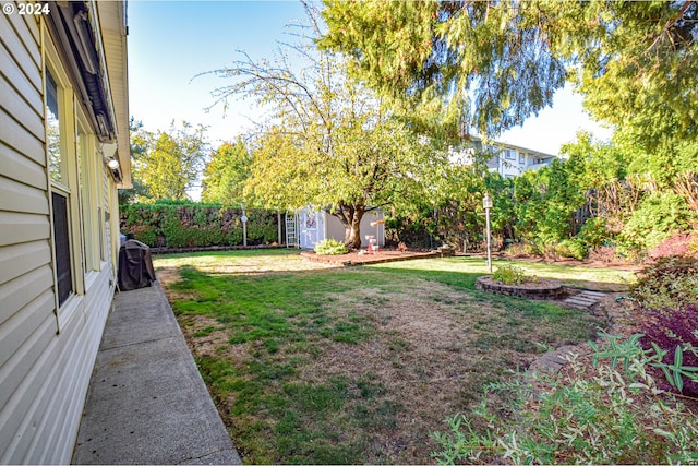 view of yard with a storage unit