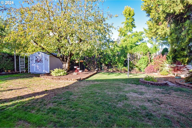 view of yard with a storage shed