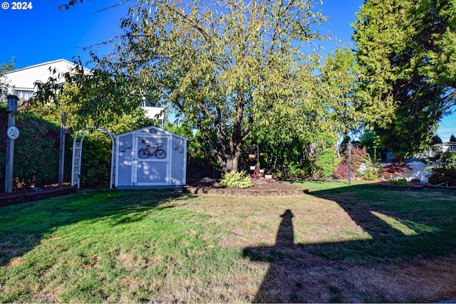 view of yard with a shed