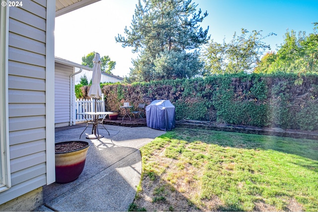 view of yard featuring a patio