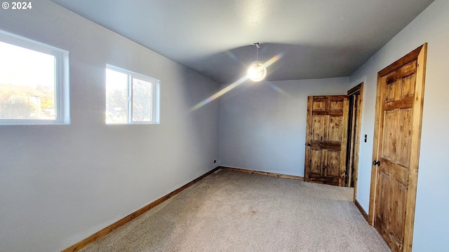 additional living space with light carpet