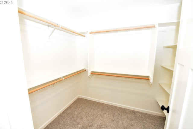 walk in closet featuring carpet floors