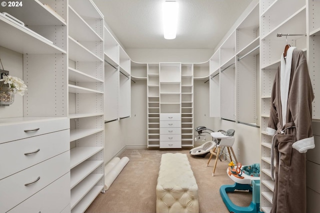 spacious closet featuring carpet