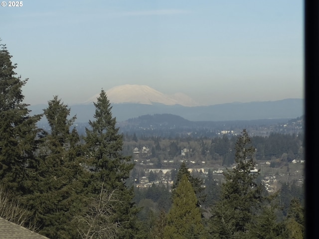 view of mountain feature